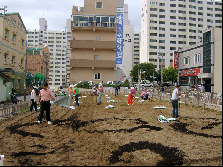 바드래꽃밭 비료주기