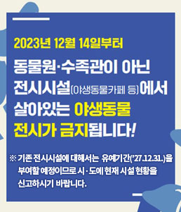 2023년 12월 14일부터 동물원·수족관이 아닌
전시시설(야생동물카페 등)에서 살아있는 야생동물 전시가 금지됩니다!
※ 기존 전시시설에 대해서는 유예기간('27.12.31.)을 부여할 예정이므로 시·도에 현재 시설 현황을 신고하시기 바랍니다.