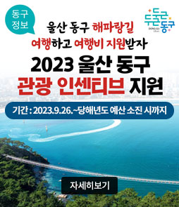 동구정보
울산 동구 해파랑길 여행하고 여행비 지원받자
2023 울산 동구 관광 인센티브 지원
기간 : 2023.9.26.~당해년도 예산 소진 시까지
자세히보기