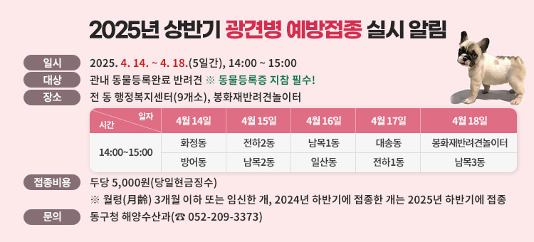 2025년 상반기 광견병 예방접종 실시 알림
ㆍ일시 : 2025. 4. 14. ~ 4. 18.(5일간), 14:00 ~ 15:00
ㆍ대상 : 관내 동물등록완료 반려견 ※ 동물등록증 지참 필수!
ㆍ장소 : 전 동 행정복지센터(9개소), 봉화재반려견놀이터
- 4월14일 : 14:00~15:00 화정동, 방어동 
- 4월15일 : 14:00~15:00 전하2동, 남목2동
- 4월16일 : 14:00~15:00 남목1동, 일산동
- 4월17일 : 14:00~15:00 대송동, 전하1동
- 4월18일 : 14:00~15:00 봉화재반려견놀이터, 남목3동
ㆍ접종비용 : 두당 5,000원(당일현금징수)
※ 월령(月齡) 3개월 이하 또는 임신한 개, 2024년 하반기에 접종한 개는 2025년 하반기에 접종
ㆍ문의 : 동구청 해양수산과(☎ 052-209-3373)