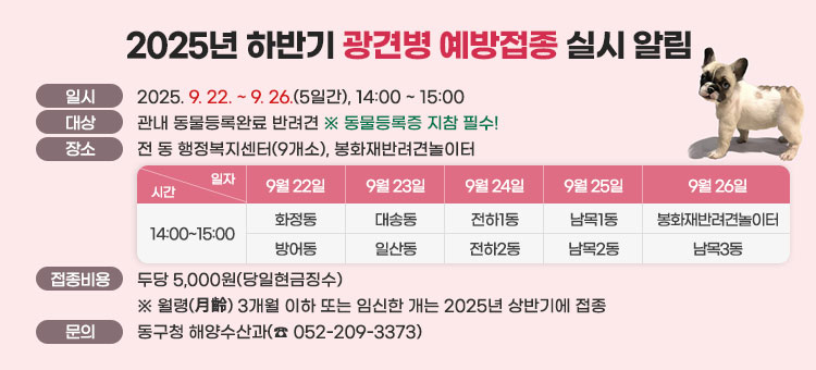 2025년 하반기 광견병 예방접종 실시 알림
ㆍ일시 : 2025. 9. 22. ~ 9. 26.(5일간), 14:00 ~ 15:00
ㆍ대상 : 관내 동물등록완료 반려견 ※ 동물등록증 지참 필수!
ㆍ장소 : 전 동 행정복지센터(9개소), 봉화재반려견놀이터
- 9월22일 : 14:00~15:00 화정동, 방어동 
- 9월23일 : 14:00~15:00 대송동, 일산동
- 9월24일 : 14:00~15:00 전하1동, 전하2동
- 9월25일 : 14:00~15:00 남목1동, 남목2동
- 9월18일 : 14:00~15:00 봉화재반려견놀이터, 남목3동
ㆍ접종비용 : 두당 5,000원(당일현금징수)
※ 월령(月齡) 3개월 이하 또는 임신한 개는 2025년 상반기에 접종
ㆍ문의 : 동구청 해양수산과(☎ 052-209-3373)
