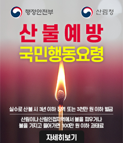 산불예방 국민행동요령
실수로 산불 시 3년 이하 징역 또는 3천만원 이하 벌금
산림이나 산림인접지역에서 불을 피우거나 불을 가지고 들어가면 100만원 이하 과태료
자세히보기
&nbsp;