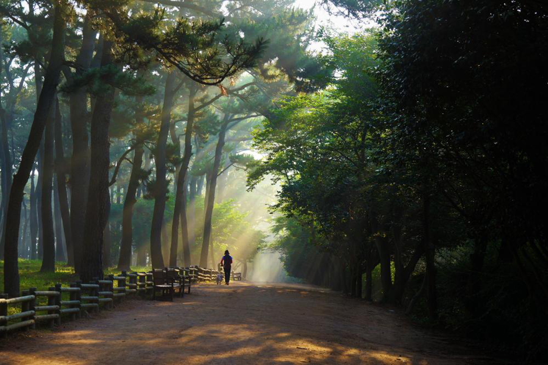 Daewangam Park