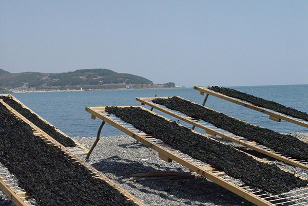 Naturally harvested sea mustard