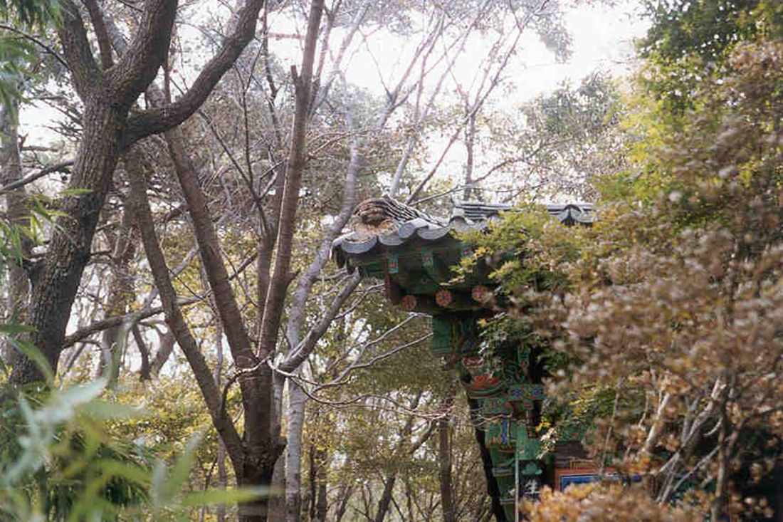 Wolbongsa Temple