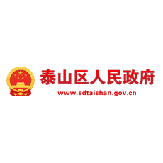 泰山区人民政府 www.sdtaishan.gov.cn