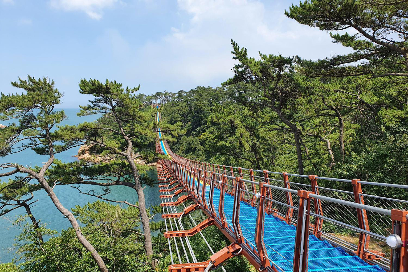 대왕암공원 출렁다리2