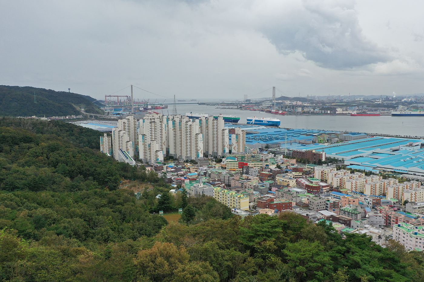 염포산 정상에서 본 동구 시가지