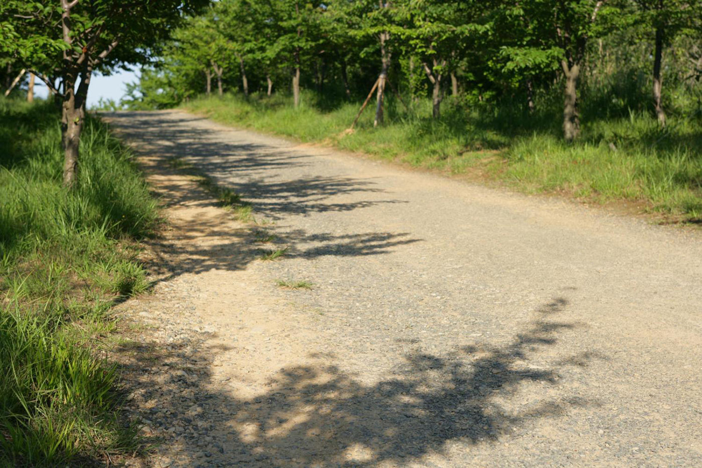 방어진공원 산책로3