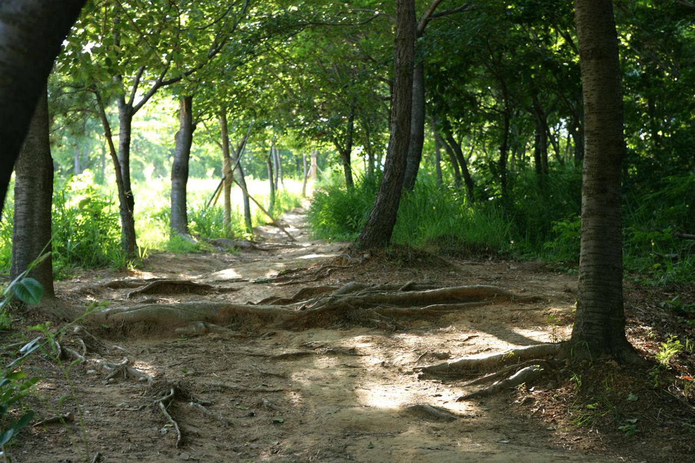 방어진공원 산책로4