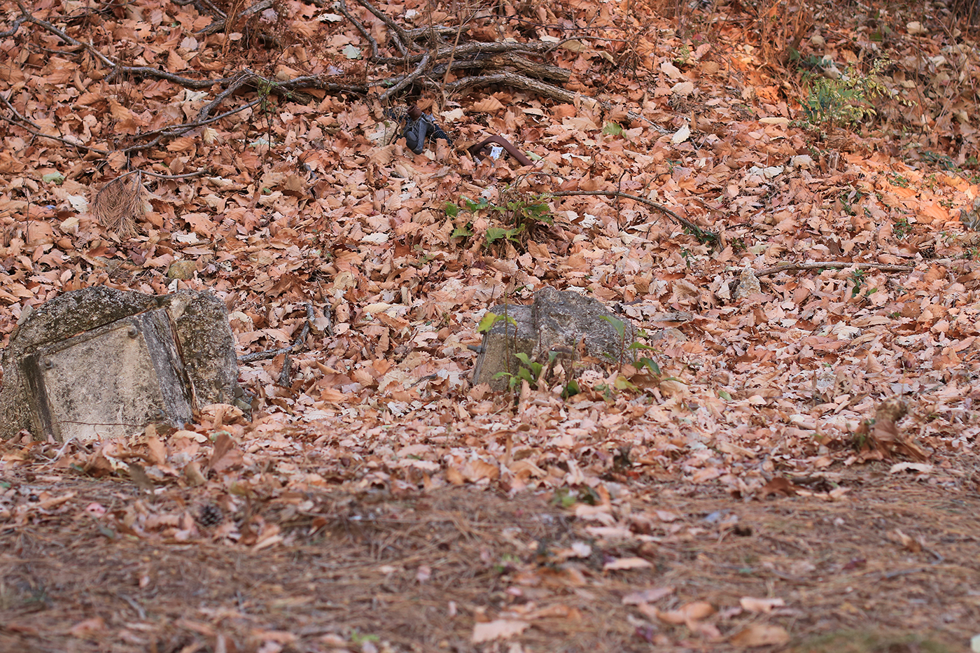 시리성1