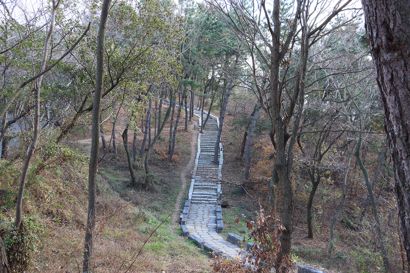 해파랑길 8코스2