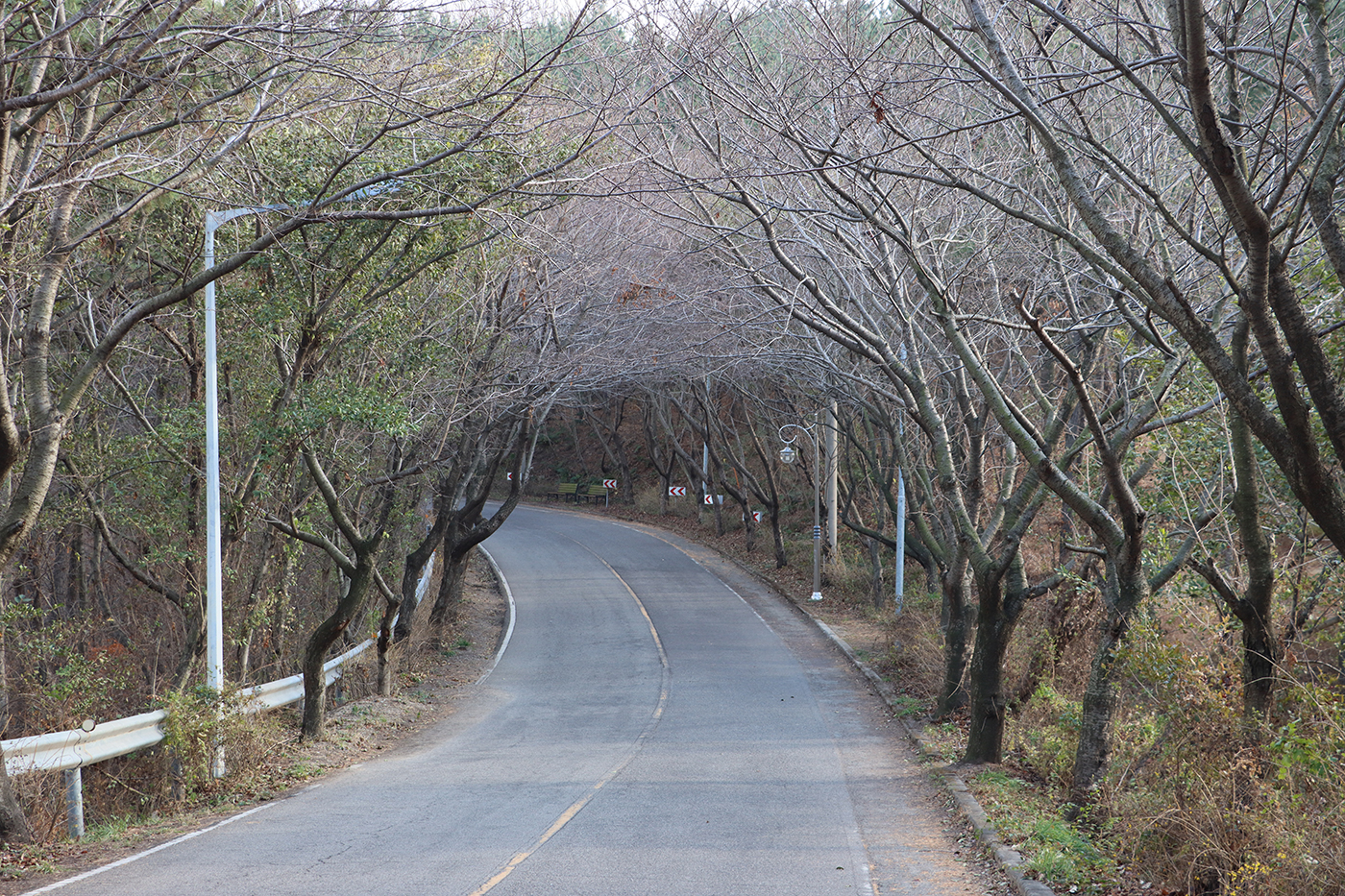 해파랑길 8코스3