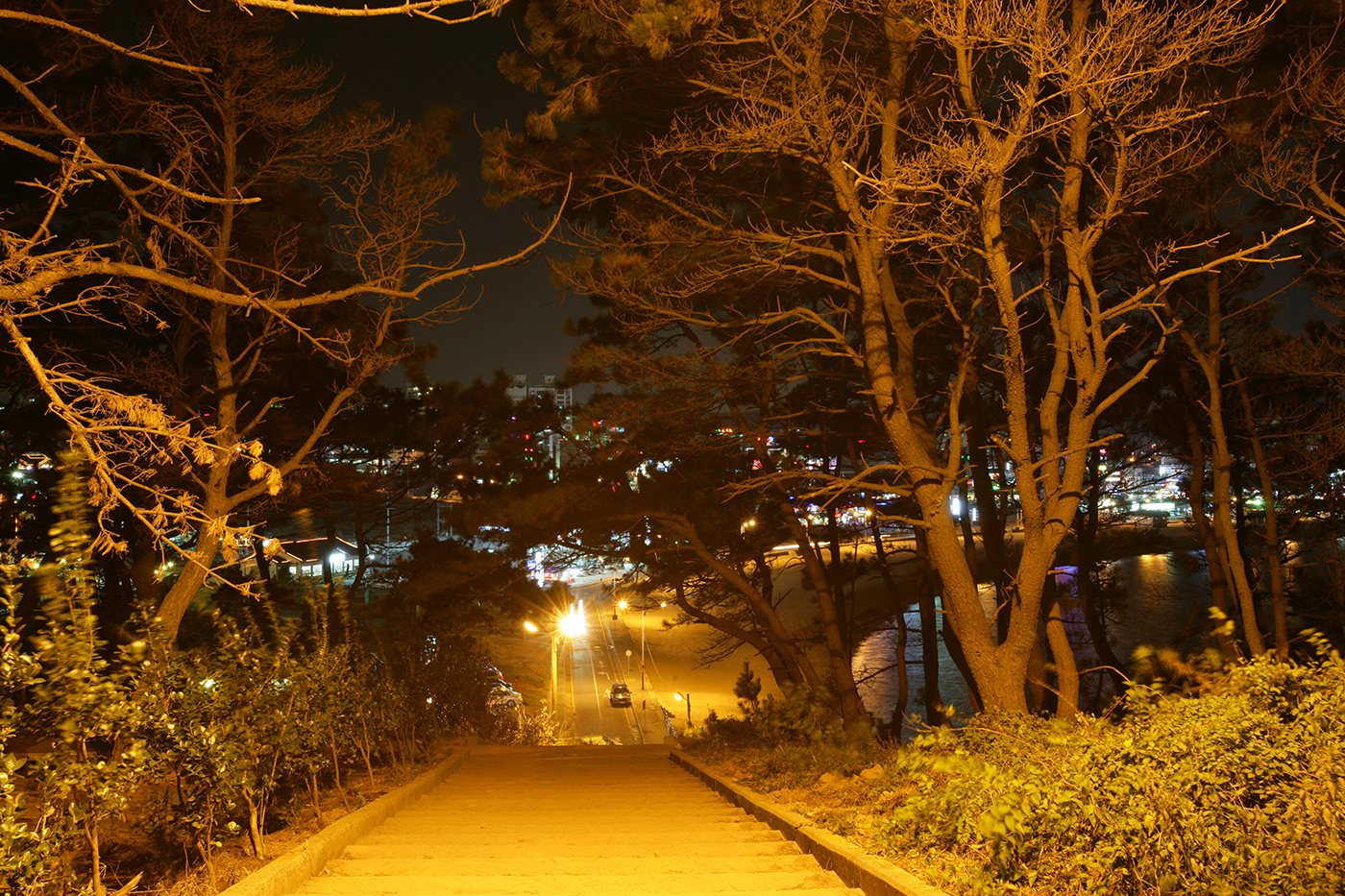일산해수욕장 야경3