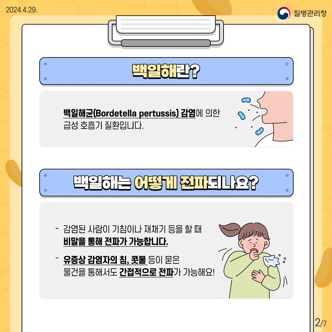 백일해란? 백일해균(Bordetella pertussis)감염에 의한 급성 호흡기 질환입니다.  백일해는 어떻게 전파되나요? - 감염된 사람이 기침이나 재채기 등을 할 때 비말을 통해 전파가 가능합니다. - 유증상 감염자의 침, 콧물 등이 묻은 물건을 통해서도 간접적으로 전파가 가능해요!