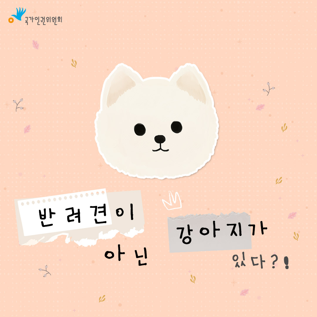 국가인권위원회 반려견이 아닌 강아지가 있다?!