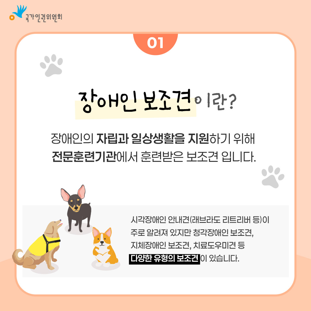 국가인권위원회 01 장애인 보조견이란? 장애인의 자립과 일상생활을 지원하기 위해 전문훈련기관에서 훈련받은 보조견 입니다. 시각장애인 안내견(래브라도 리트리버 등)이 주로 알려져 있지만 청각장애인 보조견, 지체장애인 보조견, 치료도우미견 등 다양한 유형의 보조견이 있습니다.