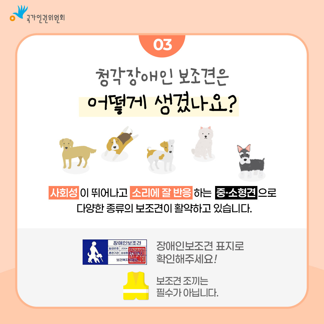 국가인권위원회 03 청각장애인 보조견은 어떻게 생겼나요? 사회성이 뛰어나고 소리에 잘 반응 하는 중·소형견으로 다양한 종류의 보조견이 활약하고 있습니다. 장애인보조견 표지로 확인해주세요! 보조견 조끼는 필수가 아닙니다.
